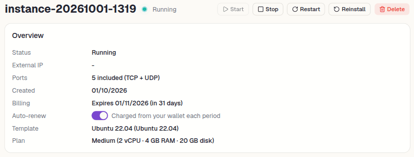 renew-vps